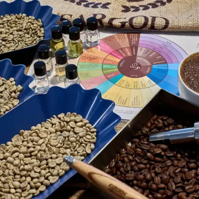 Kaffeeverkostungsreise – Von der Kaffeepflanze bis in die Tasse