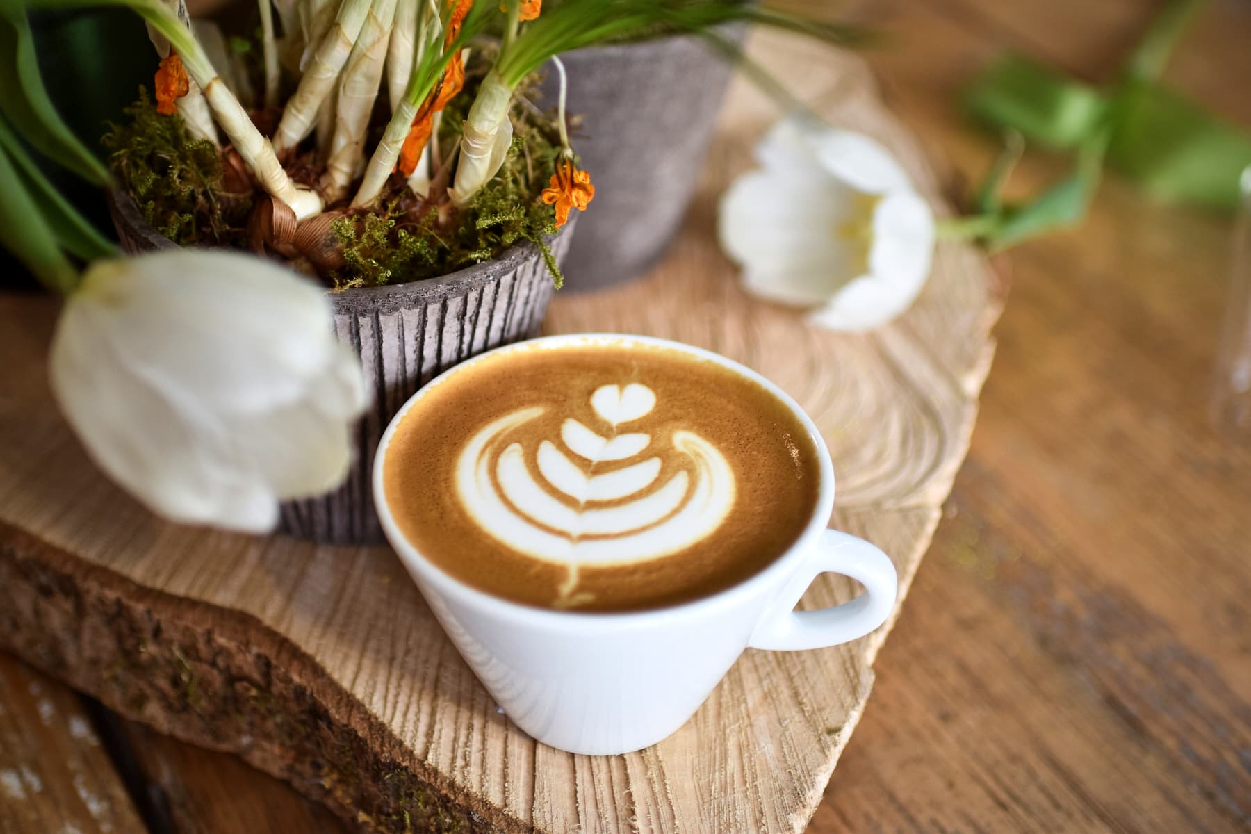 latte-art-cappuccino-tulpe-seven-hills.jpg Cappuccino mit von Hand gegossener Latte Art in Form einer Tulpe